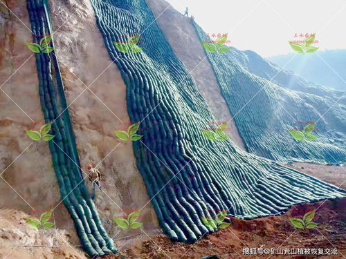 矿山坡面垒生态袋护坡植草技术